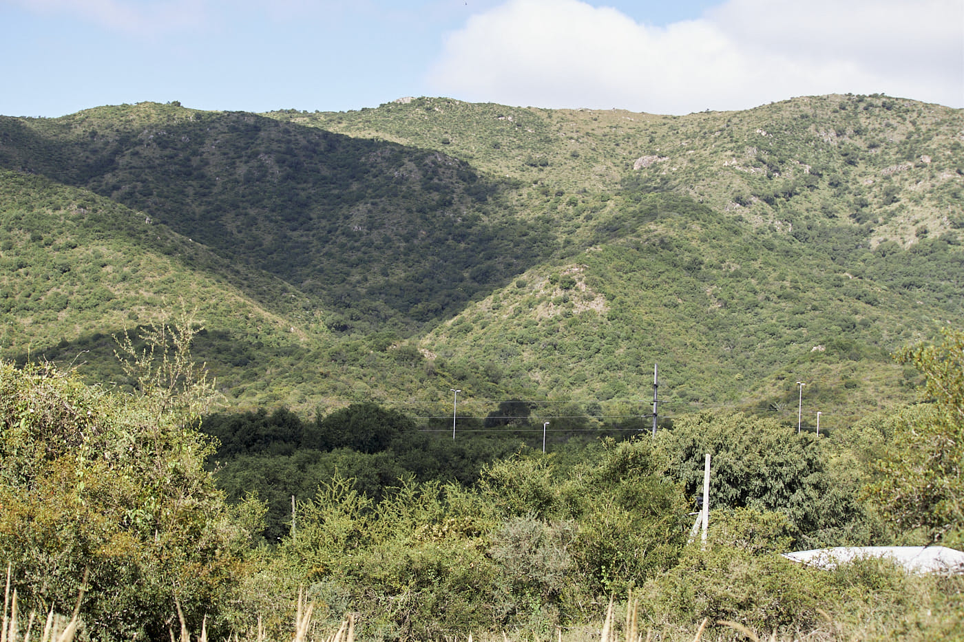 Biodiversidad en montañas: gradiente altitudinal y muestreo