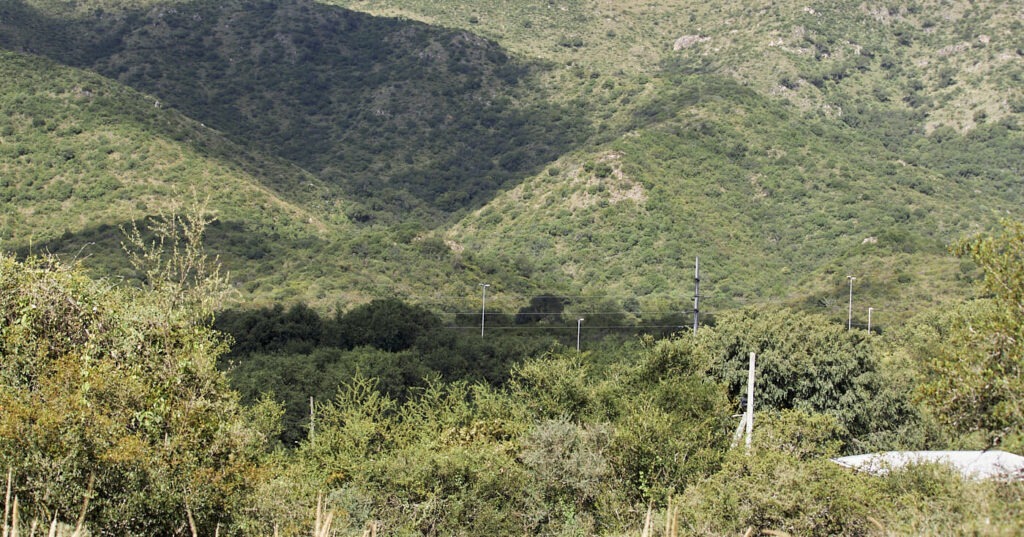 Biodiversidad en montañas: gradiente altitudinal y muestreo