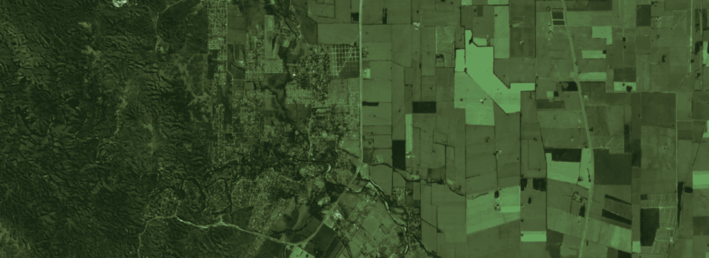 curso-online-QGIS-ambiental-con-aval-profesional